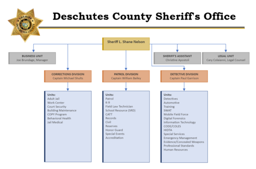 DCSO_Org_Chart_2022.png