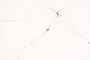 EM home inspection lg