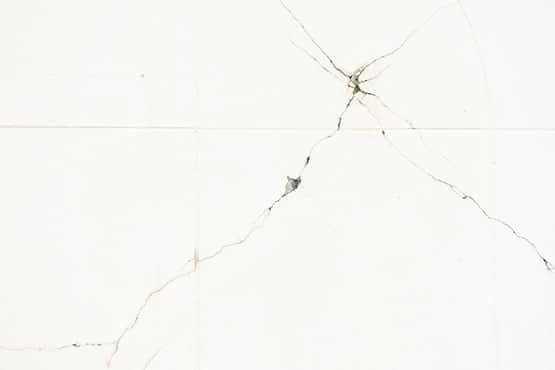 EM home inspection lg