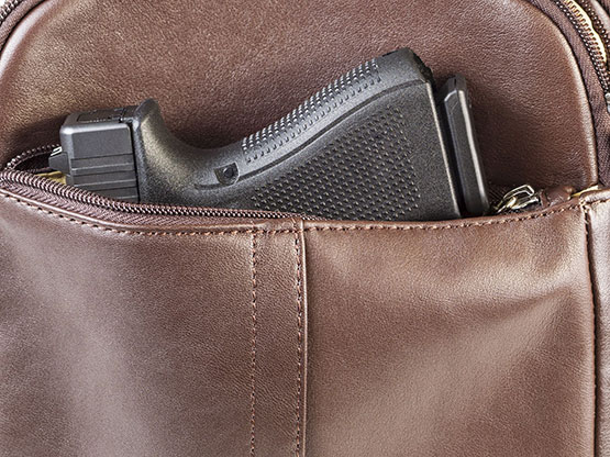 Concealed Handgun